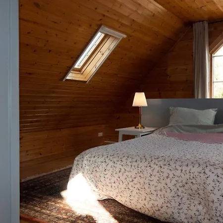 Holiday home Finnhuus Ruurlo